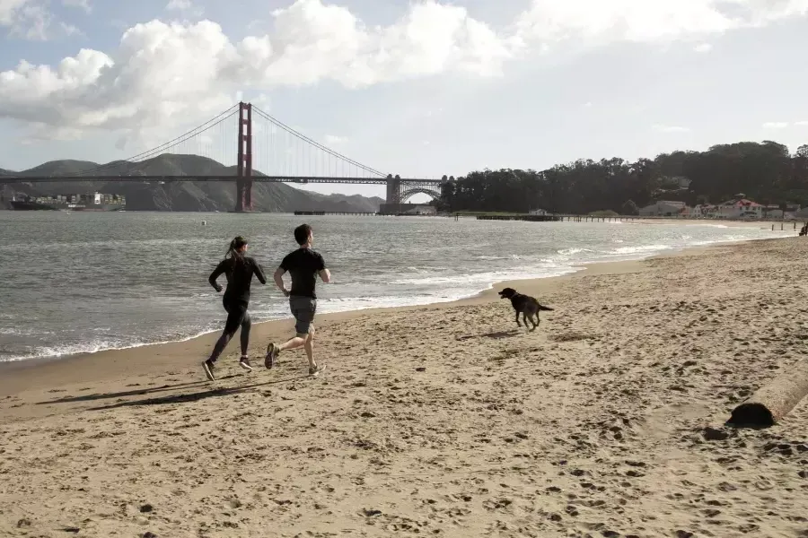 Runners on Crissy Field